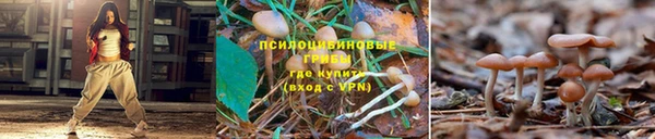 MDMA Premium VHQ Белоозёрский