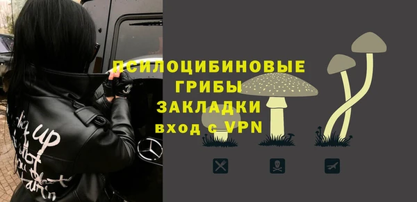а пвп мука Белокуриха