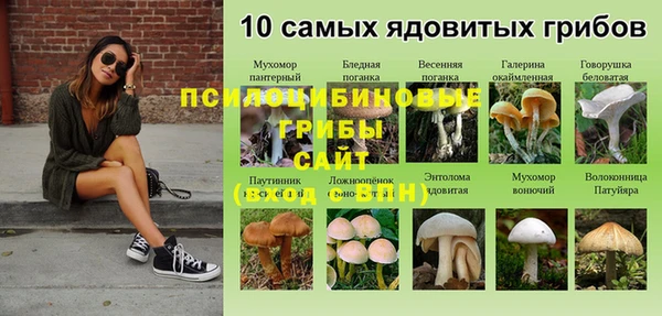 а пвп мука Белокуриха