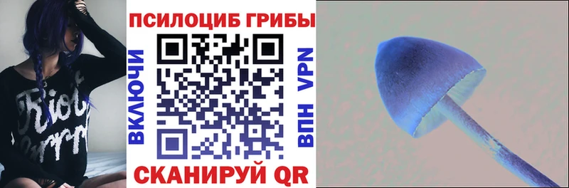 Псилоцибиновые грибы мицелий  купить закладку  Гаврилов-Ям 
